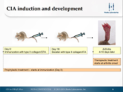 Slides - CIA in DBA/1 Mice