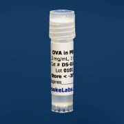 Vial photo