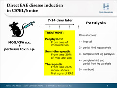 Mouse EAE model slides