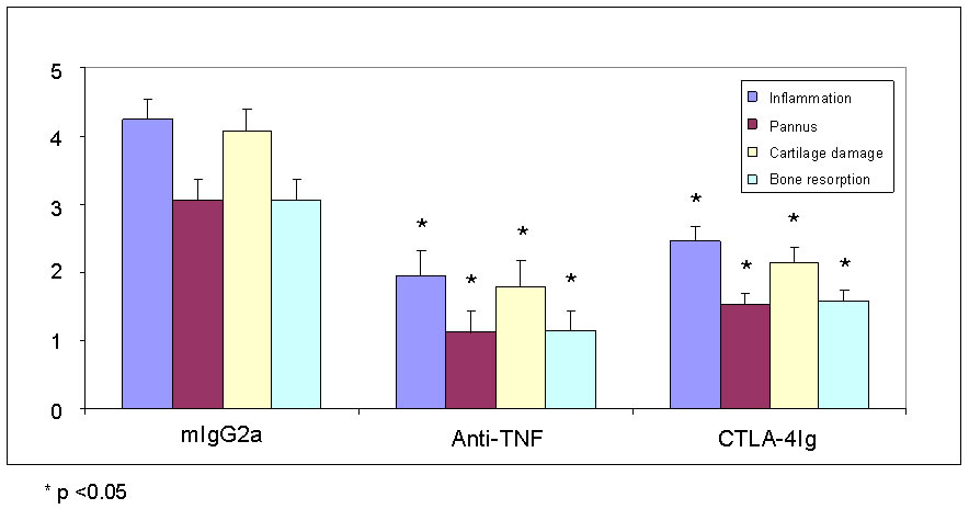 CIA - Therapeutic treatment with anti-TNF and CTLA4-Ig – Histological analysis