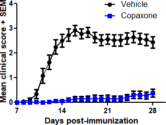 MOG35-55 EAE Teva Copaxone typical results